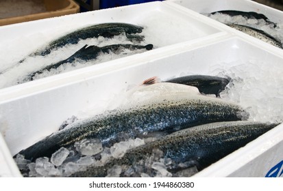 The Detail Of A Fish Salmon Factory, Processing Line. Fish And Food Industry Abstract.