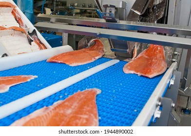 The Detail Of A Fish Salmon Factory, Processing Line. Fish And Food Industry Abstract.