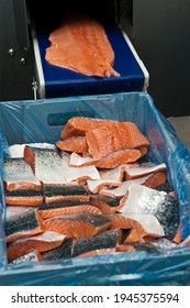 The Detail Of A Fish Salmon Factory, Processing Line. Fish And Food Industry Abstract.