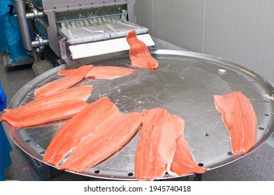 The Detail Of A Fish Salmon Factory, Processing Line. Fish And Food Industry Abstract.