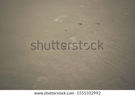 detail of a foot prints on a sandy beach next to waves