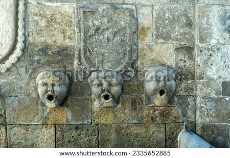 Detail of the fountain of the San Francisco water spouts (17th century). Avilés, Asturias, Spain.