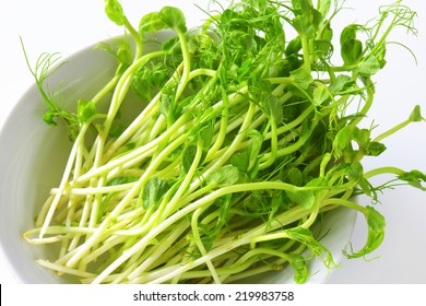 35,550 Pea sprouts Images, Stock Photos & Vectors | Shutterstock