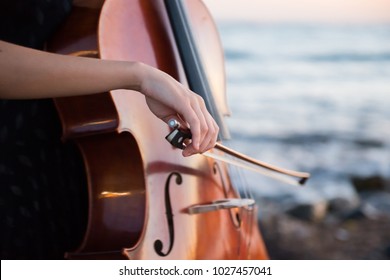 Detail Of Girl With Her Cello On The Outside