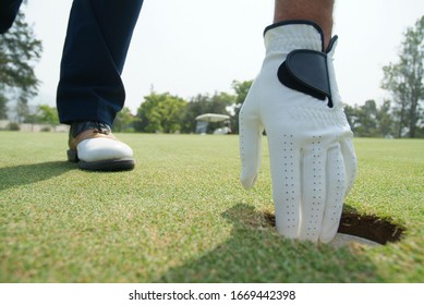 Detail Of A Golfer's Hand Picking Up The Ball In The Hole