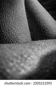 Detail Of Goosebumps On The Skin Of A Woman Shot In Black And White.