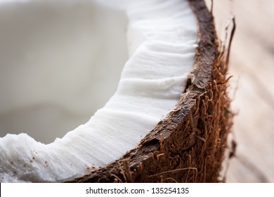 Detail Of Half A Coconut Texture