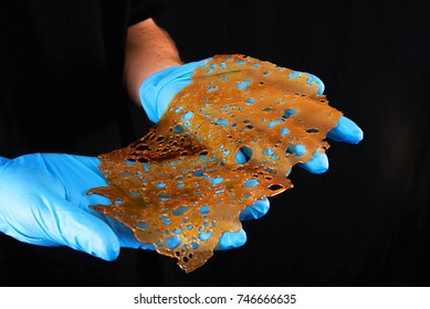 Detail of hand holding a slab of concentrated cannabis oil extraction aka shatter isolated over black background