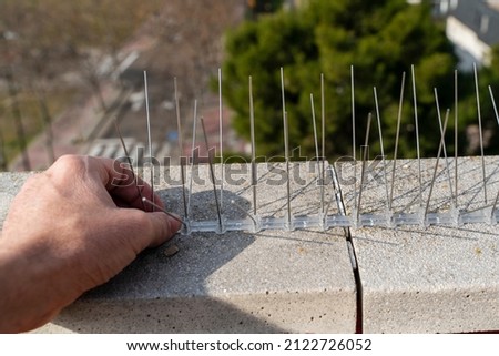 detail of a hand installing steel spikes to scare away birds on the cornice of a building. Pest control method