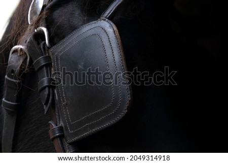 Detail of the head of a black Friesian horse with leather blinkers. Blinders ensure that horses are not startled by what they see happening around them. Focus on the stitching. Copy space