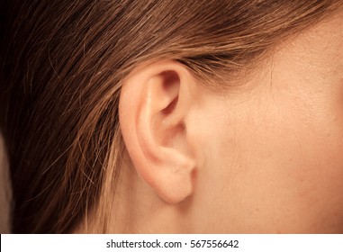 Detail Of The Head With Female Human Ear And Hair Close Up