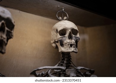 Detail of the head of a human skeleton hanging by the head