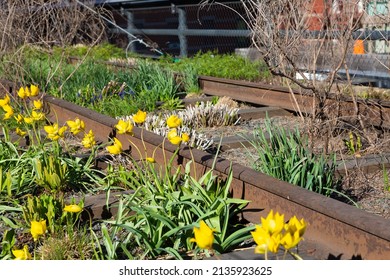 Detail From The High Line: The Suspended Park On The Old Train Line In New York City.