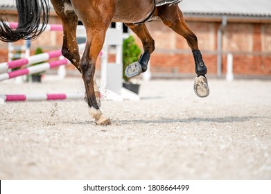 Detail of horse hooves from showjumping competition.