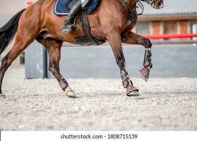 Detail of horse hooves from showjumping competition. - Shutterstock ID 1808715139
