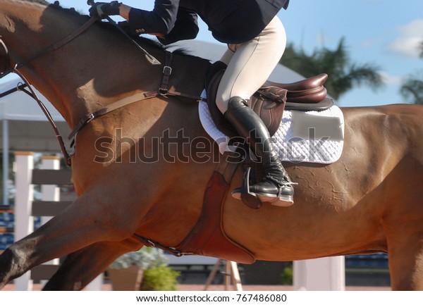 Detail of a horse and rider
competing in a show jumping event in an arena on a sunny day. The
rider is wearing a jacket and breeches. The horse is bay
colored
