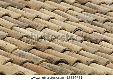 Similar – Image, Stock Photo #A# Roof growth Esthetic