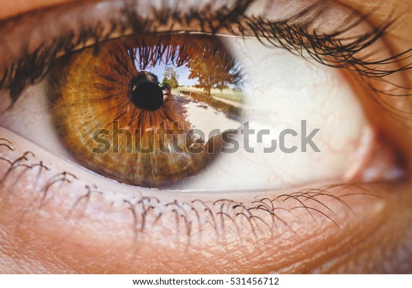 Detail of human eye. Brown colored eye. Close up\
to retina, cornea, pupil, eyelashes, sclera. Zoom of eye ball. Auto\
portrait in eye. Macro photography. Vision, perception, light,\
sense organ.