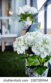 Detail Of Hydrangea Flowers In Plant Pot On An Inner City Apartment Balcony With Flowers And Candle In The Background