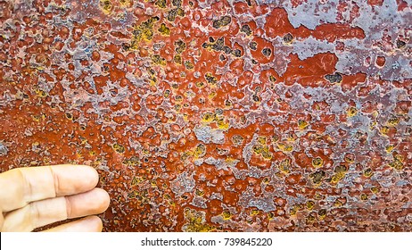 Detail Of Incrustation Over Ship Hull