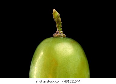 Detail of isolated green grape on a black background