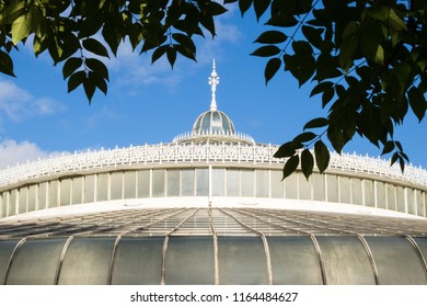 Detail From Kibble Palace Roof Framed By Trees