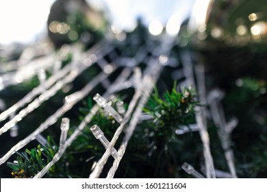 Detail Of Light On Outdoor Christmas Tree At Daytime, Selective Focus