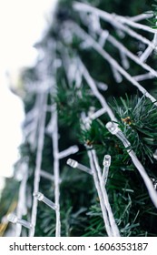 Detail Of Light On Outdoor Christmas Tree At Daytime, Selective Focus