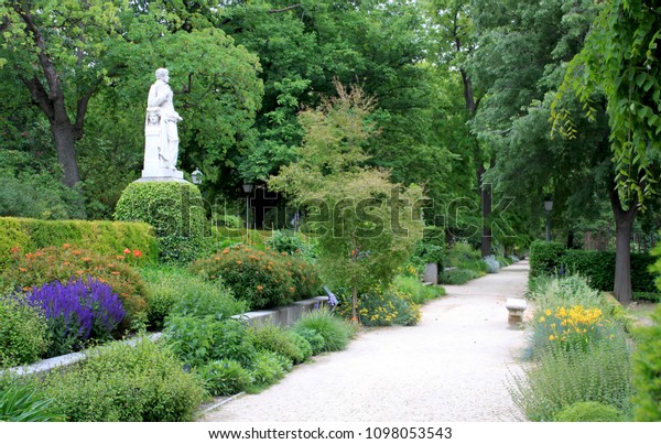 ヨーロッパのスペインの首都 マドリードの緑の王立植物園の詳細 木 花 小道 美しい自然の風景 の写真素材 今すぐ編集