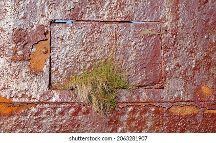 Detail Of An Old Rusty Shipwreck In The Westfjords, Northwest Iceland