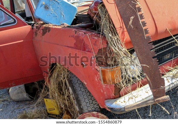 The detail of an old veteran car\
in desolate state. It is rusty with lot of garbage around.\
