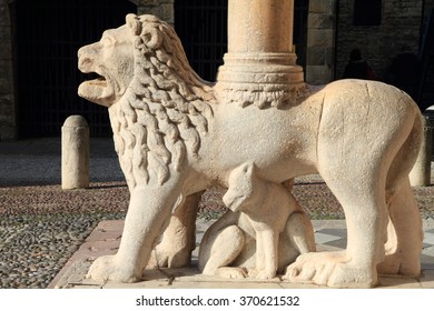  Detail of one of the lions supporting the columns of the right transept porch. Basilica of Santa Maria Maggiore, Bergamo Alta