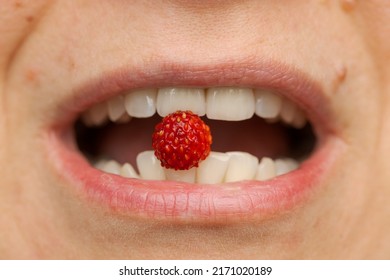 Detail Of Open Human Mouth With One Fresh Ripe Red Wild Strawberry Between Teeth