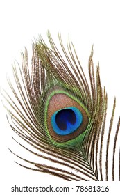 Detail Of Peacock Feather Eye On White Background