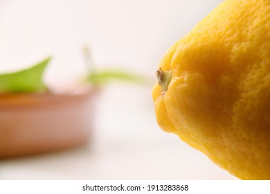 Detail Of The Pedicel Of The Lemon. Horizontal Composition. Side View