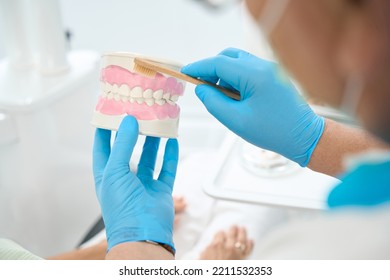 Detail Photo Of Artificial Jaw In Doctor Hands With Toothbrush In Dental Office