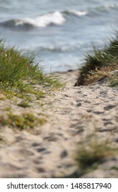 Detail Photo From A Beach At Fårö, Gotland Sweden.