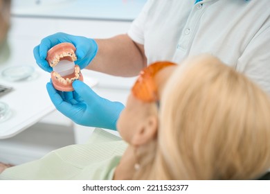 Detail Photo Of Teeth Model In Doctor Hands In Dental Office