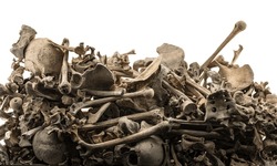 Detail Of A Pile Of Human Bones In A Mass Grave With A White Background