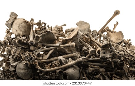 Detail of a pile of human bones in a mass grave with a white background