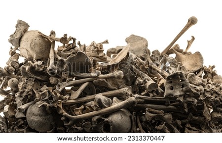 Detail of a pile of human bones in a mass grave with a white background