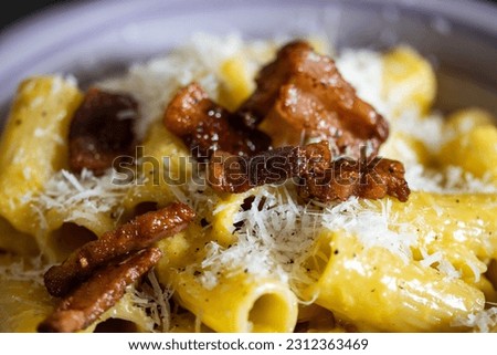 detail of a plate of pasta carbonara. Typical dish of Italian and Roman cuisine. Pasta alla carbonara with rigatoni guanciale, like bacon and egg. Detail of pasta, Italian cuisine