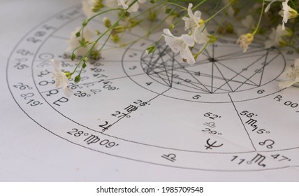 Detail of printed astrology chart with planets Jupiter and Neptun and small white foeld flowers in the background