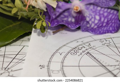  Detail of printed astrology charts with planets in Aries and Pisces, flowers in the background - Shutterstock ID 2254086821