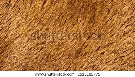 Detail of Real Lion Skin or Fur Texture Background. Lion Fur Textured Backgrounds. Animals Textured Backgrounds
