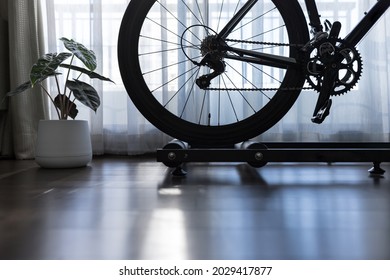 Detail Of Road Bike On Rolling Trainer And Little Plant In Private Space, Indoor Bike Training At Home During Quarantine Period, Concept Of Cardio Exercise For Healthy Heart, Selective Focus