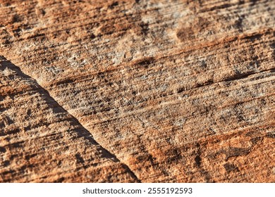 Detail of sandstone and stone layer structures in Zion National Park