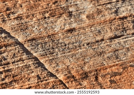 Detail of sandstone and stone layer structures in Zion National Park