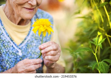 Detail of senior woman in apron with yellow flower in the sunny garden