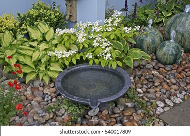 A Detail Of A Small Courtyard Garden With Water Features